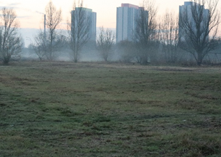 Natuur